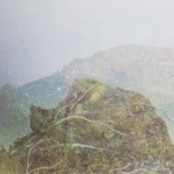 NEW ARRIVALS Onzie Graphic Elastic Yoga Sports Bra Desert Rain/Black