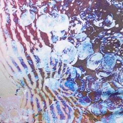 Mika Yoga Wear Mikaela Hot Yoga Shorts Milky Way CLOTHING