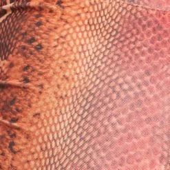 CLOTHING Mika Yoga Wear Mikaela Hot Yoga Shorts Desert Snake