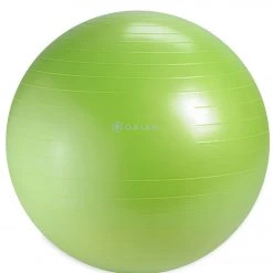 Gaiam Restore Strong Back Stability Ball Kit