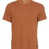 PrAna Men's Prospect Heights Crew Neck T-Shirt Cedar