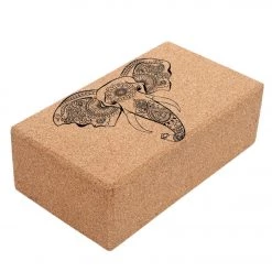 Shakti Warrior Align Cork Yoga Block