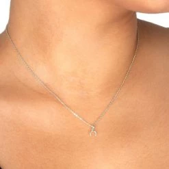 ACCESSORIES Dogeared Teeny Crescent Necklace Silver