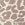Glyder Directional Legging Oatmilk Leopard 12 Glyder Directional Legging Oatmilk Leopard