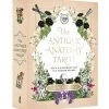 Abrams Books The Antique Anatomy Tarot