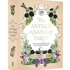 Abrams Books The Antique Anatomy Tarot