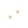 TAI Jewelry Simple Star Studs